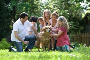 Animaux et famille