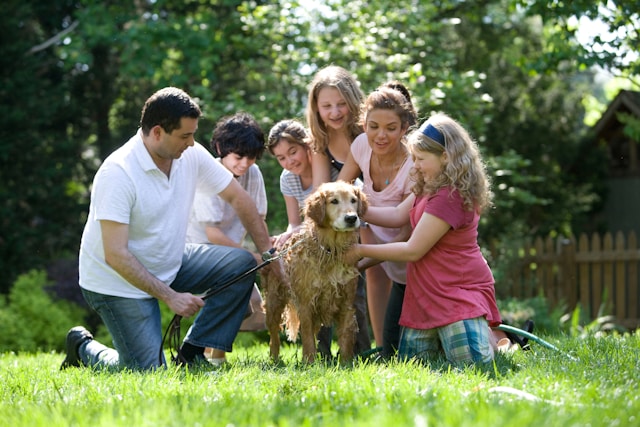 Les animaux de compagnie et la famille : comprendre leur dynamique